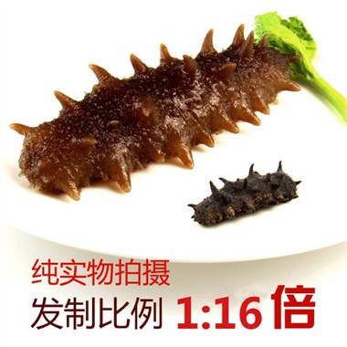 深海力源珍品淡干海参 选用6年以上野生海参