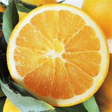 水果礼盒 江西赣南脐橙