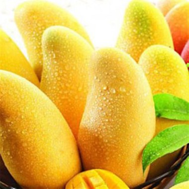 水果礼盒 水仙芒果
