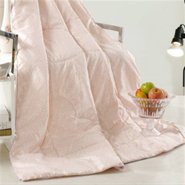 路易罗卡 健康芦荟被