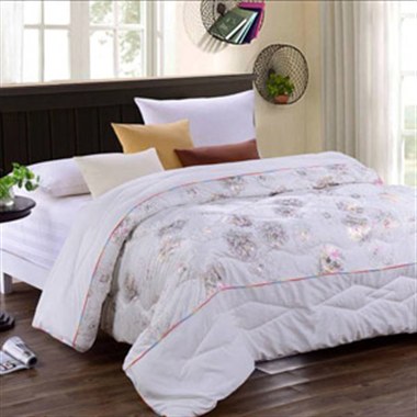 子谷川 负离子能量被C