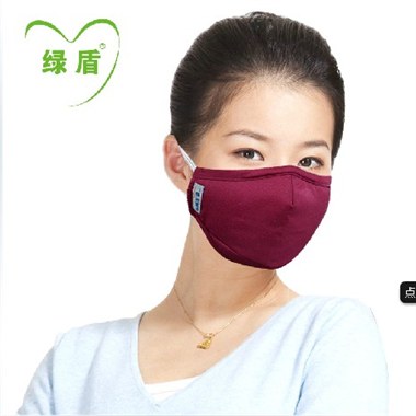 绿盾PM2.5抗菌防霾口罩